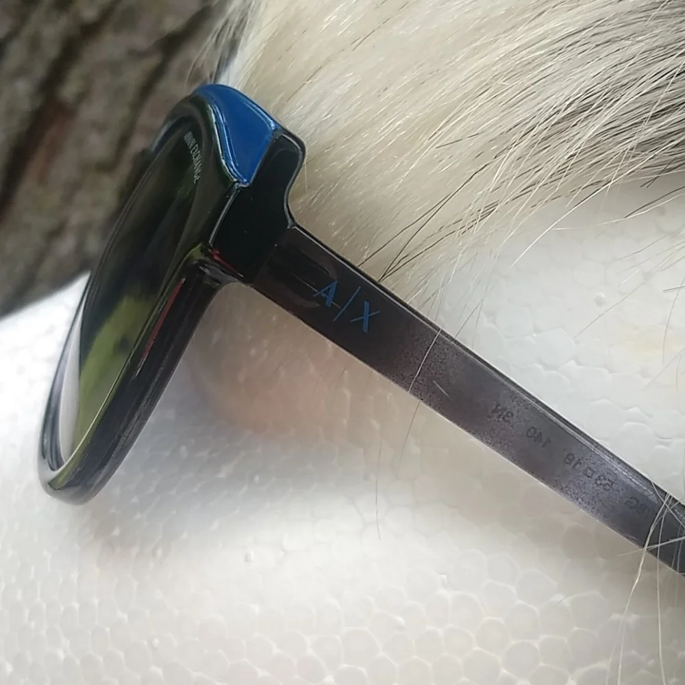 Armani Exchange sunnies NWOT +NWT case